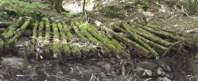 Zainspirowani naturą - Plener malarski