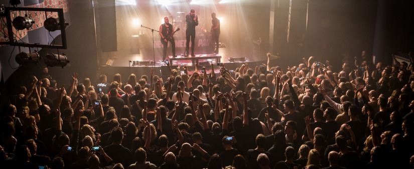 Koncert Bodzis i Nocny Kochanek