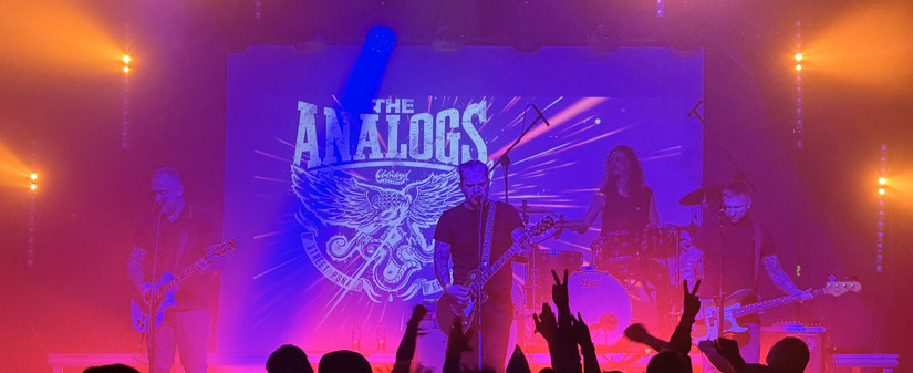 Punky Reggae Live 2026