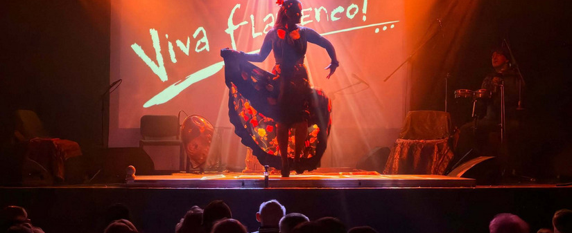 Koncert Viva Flamenco!
