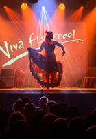 Koncert Viva Flamenco!